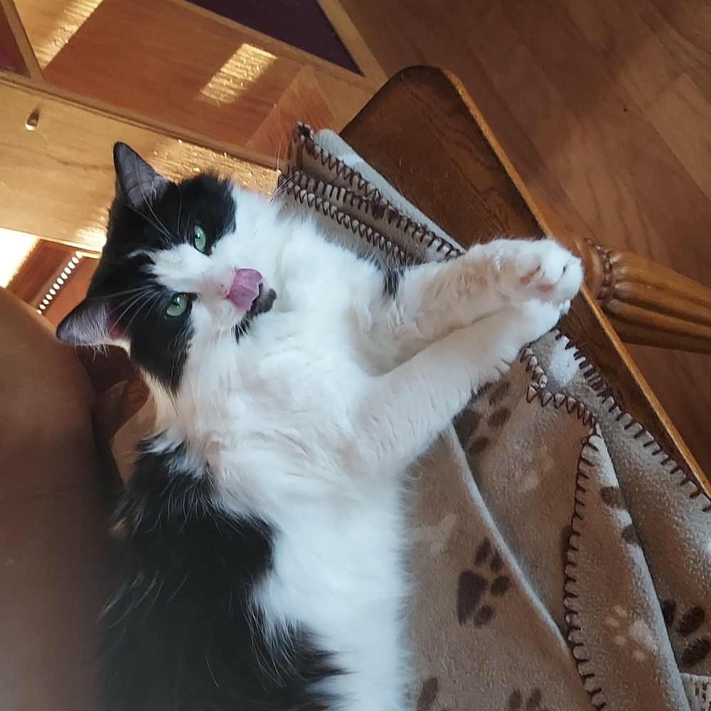 A little bit of everything!